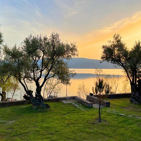 Seafront Traditional Stone House In Sunset Olive Grove - B Alyfanta Exterior photo