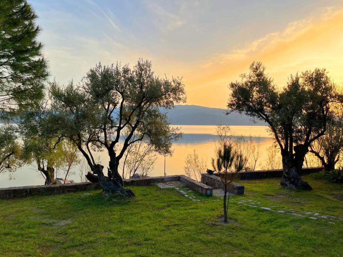 Seafront Traditional Stone House In Sunset Olive Grove - B Alyfanta Exterior photo