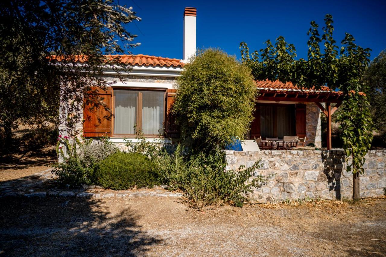 Seafront Traditional Stone House In Sunset Olive Grove - B Alyfanta Exterior photo