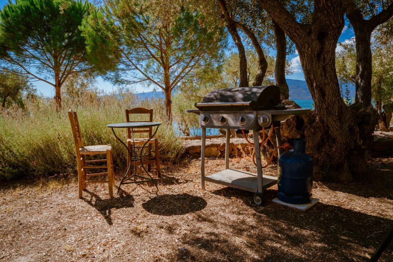 Seafront Traditional Stone House In Sunset Olive Grove - B Villa Alyfanta Exterior photo